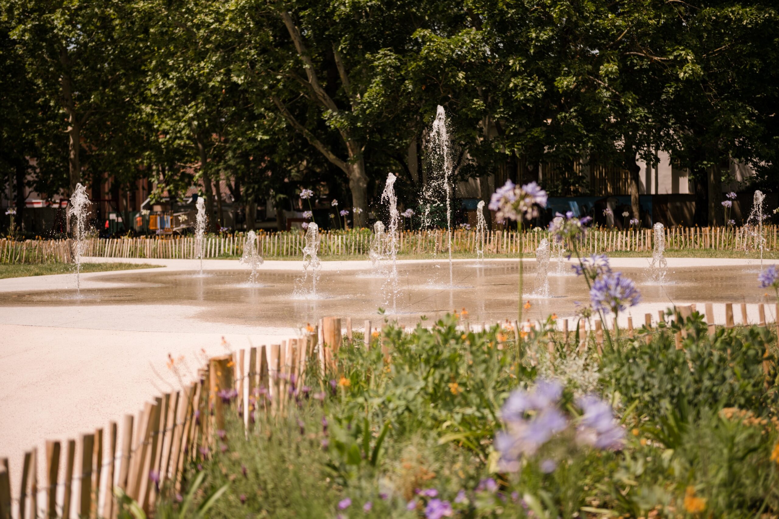 DSC_0755-