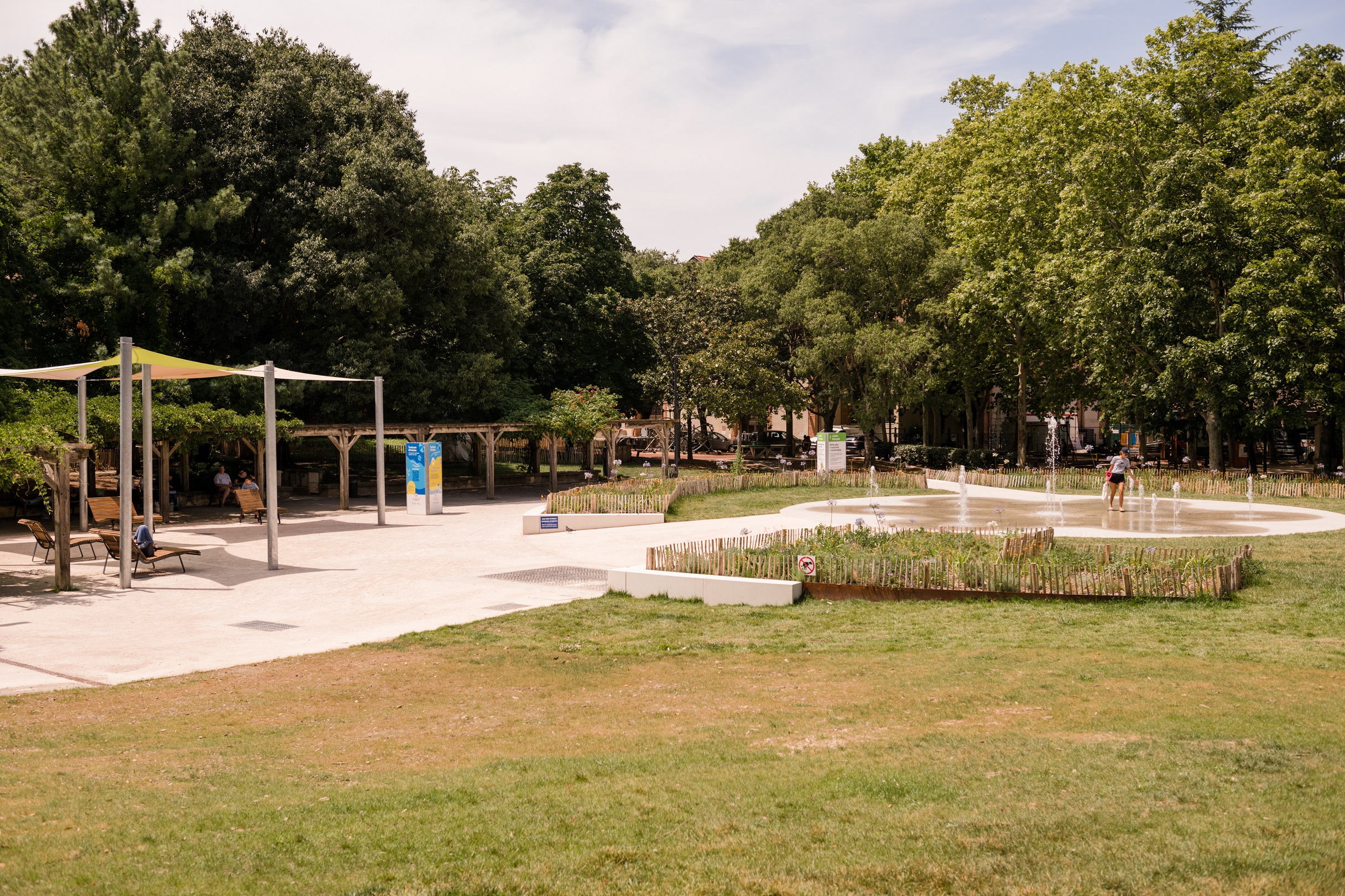 DSC_0781-