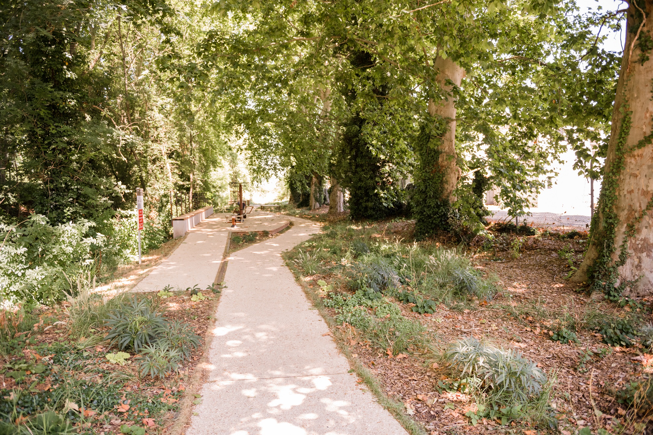 DSC_0312-